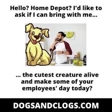 Maybe you would like to learn more about one of these? Are Dogs Allowed In Home Depot Home Depot Dog Policy