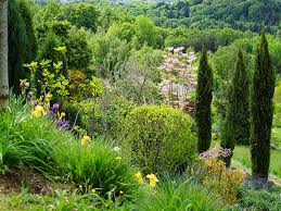 Finden sie die besten sendungen zum thema garten im aktuellen fernsehprogramm. Natur Im Garten Am 2 Juni 2019 Bild Orf Talk Tv Natur Im Garten Leopold Mayrhofer Biogartner