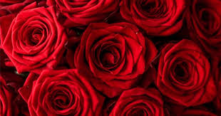 1800flowers offers more than flowers for every occasion, they also offer a fine selection of chocolates, jewelry, teddy bears and even a message in a bottle. 1 800 Flowers Com Launches Services Customer Offerings For Valentine S Day Retail Customer Experience