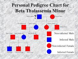 Thalassemia Jon Clapp Isat 351 Presentation 12 April Ppt