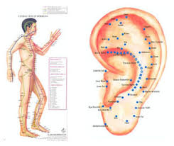 Clinical Acupuncture Acupuncture Charts
