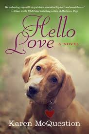 Read A Book With An Anagram In The Title Hello Love By Karen Mcquestion Books Love Book Novels