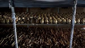 Top Rwanda genocide suspect arrested in DRC | Rwanda News | Al Jazeera