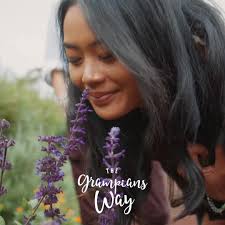 Cheeky Emu Halls Gap