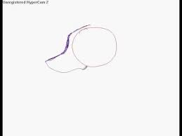 How To Draw Wolf Eyes Front And Side View Youtube She is a thief and has a tattoo on her arm which. how to draw wolf eyes front and side view