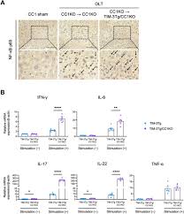 Peyton Meyers Unfiltered - Hardcore Sex Tape Access