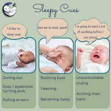 Sleepy cues” are how your baby communicates with you that they are tired  and want to go to sleep. — Aoife Sheehan | Baby & Child Sleep Consultant