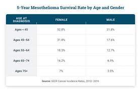 It rarely occurs in women younger than 20. Mesothelioma Survival Rates Statistics By Age Gender Race