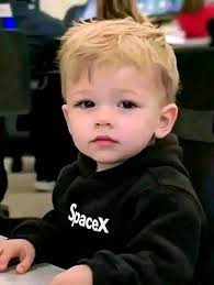 Introduction to lovebirds in Phoenix area