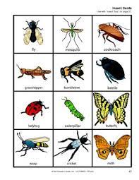 Insects are small animals with six legs and a hard outer shell called an exoskeleton. 17 Bugs Ideen Arbeitsblatt Fur Kinder Im Vorschulalter Kinder Arbeitsblatter Kinder
