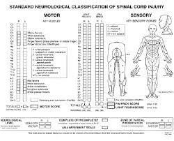 standard neurological classification of spinal cord injury