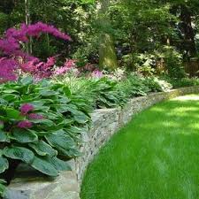 Perennial Plants Zone 8 Design Ideas Pictures Remodel And Decor Shade Garden Easy Landscaping Traditional Landscape