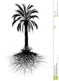 Palm Tree Sketch Stock Vector Illustration Of Tree Abstractly 11345883