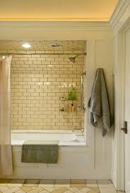 Subway Tile Picks Up Gray Grout Traditional Bathroom Traditional Bathroom Designs Cozy Bathroom