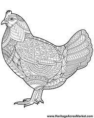 Funky Chicken Coloring Page Chicken Coloring Chicken Coloring Pages Animal Coloring Pages