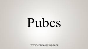 How To Say Pubes Youtube