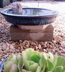Check spelling or type a new query. Why You Should Put Stones In Your Bird Bath What Birds Are In My Backyard