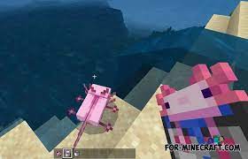 Check out other cool remixes by liquid sand and tynker's community. Java Axolotls Addon For Mcpe 1 16