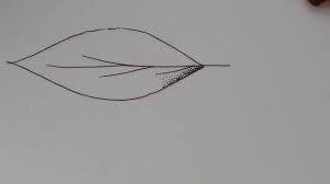 Como Desenhar Pontilhismo E Hachura Youtube