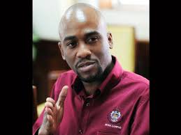 Tropics, Explorers soar at Pelican Invitational