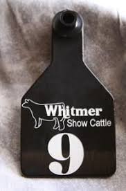 Cook Show Cattle Custom Tags By Design Calf Cutout By Mittag Design Show Cattle Cattle Tags Show Cattle Barn