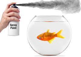 Best Aquarium Safe Paint For Inside And Outside Your Tank Fishlab