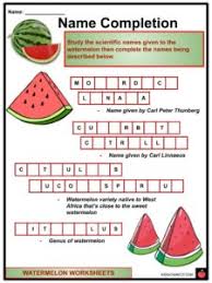 The list can include items such as shooting a jump shot. Watermelon Facts Worksheets Sweet Fruit For Kids