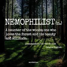 Maybe you would like to learn more about one of these? Tywkiwdbi Tai Wiki Widbee I Am A Nemophilist