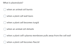 This is because plant cells have a rigid cell wall around the plasma membrane. Answered What Is Plasmolysis When An Animal Bartleby