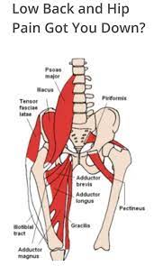 Eighty to ninety percent of the population develops a debilitating back or hip pain at some point in their life, and this issue is the second most common reason for missed work behind the common cold. Pin On David S Way Health And Fitness