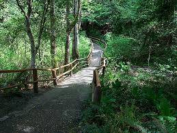 So it comes as no surprise that scenic beach state park, which is located in seabeck, was voted most romantic spot. Scenic Beach State Park A Washington State Park Located Near Bainbridge Island Bremerton And Port Orchard
