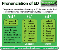 Pronunciation Of Ed Learn English Learn English English Lessons Woodward English