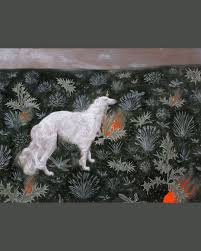 Image result for Ozoroa bredoi