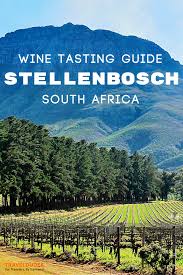 The Ultimate Guide To Exploring Stellenbosch South Africa S World Renowned Wine Region Best Vineyards A Africa Travel South Africa Travel Africa Travel Guide