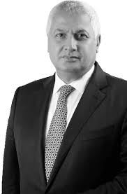 Conference of the Parties (COP) 27