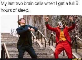My Last Two Brain Cells When I Get A Full 8 Hours Of Sleep Funny Pictures Hilarious Humor