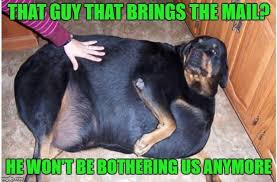Pin On Funny Animals