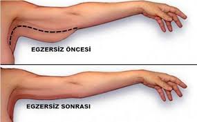 10 Hareket Ile Kol Sarkmasina Son Ciltbakimklavuzunuz Flabby Arm Workout Workout Videos Arm Workout