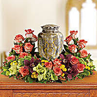 Maybe you would like to learn more about one of these? Send Sympathy Flowers Funeral Flower Arrangements Teleflora