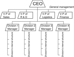 Divisional Structure Ceopedia Management Online