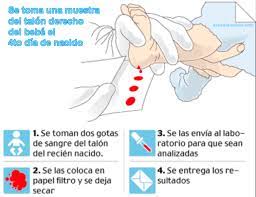 Maybe you would like to learn more about one of these? Consulta Aqui Los Resultados De Tamizaje Neonatal Msp