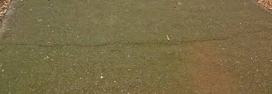 Video and text instructions on how to clean a driveway made of concrete or brick. Cleaning Concrete Bunnings Workshop Community