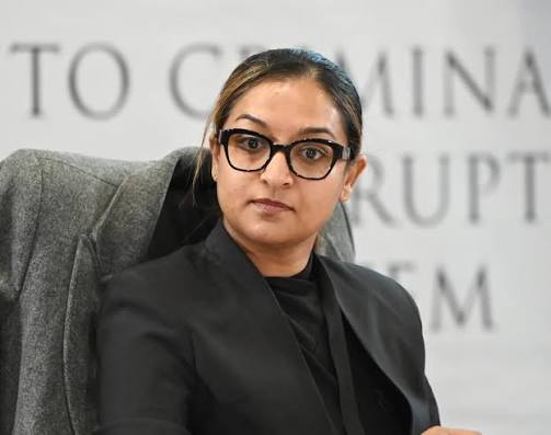 Ramsamy says Cameron gave statement to IDAC, but won't implicate him in Masemola removal plot | News24