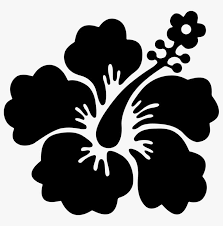 Silhouette of a hibiscus flower smu free images at clker com. Shoeblackplant Hawaiian Hibiscus Flower Drawing Mallows Hawaiian Tropical Flower Clipart Png Image Transparent Png Free Download On Seekpng