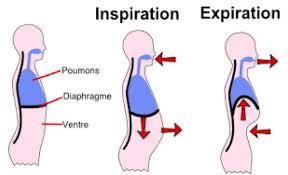 Inspir Expir Respiration Abdominale Prendre Du Poids Remede De Grand Mere Astuce Pour Grossir