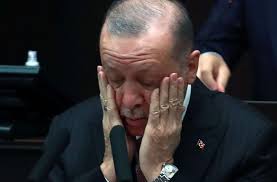 Cihan ekşioğlu daha önce hangi görevlerde bulunmuştur? Sedat Peker Soylu Cumhurbaskanimizla Birlikte Sedat I Cok Seviyoruz Demedi Mi Zaman Avustralya