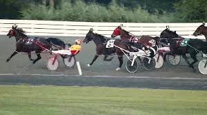 Feathers and fur will be flying at sam houston race park this weekend as the horse track welcomes camel and ostrich races, in addition to a full lineup of live thoroughbred races. Nice Night To Watch Races Best Bet Photos Ocean Downs