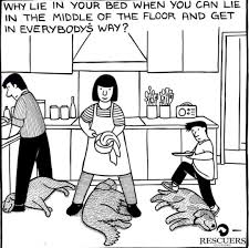 High Hopes Dog Training