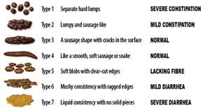 bristol stool scale wikipedia