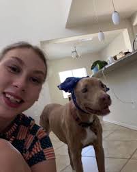 Summer Pet and House Sitting Services in Bethel, CT